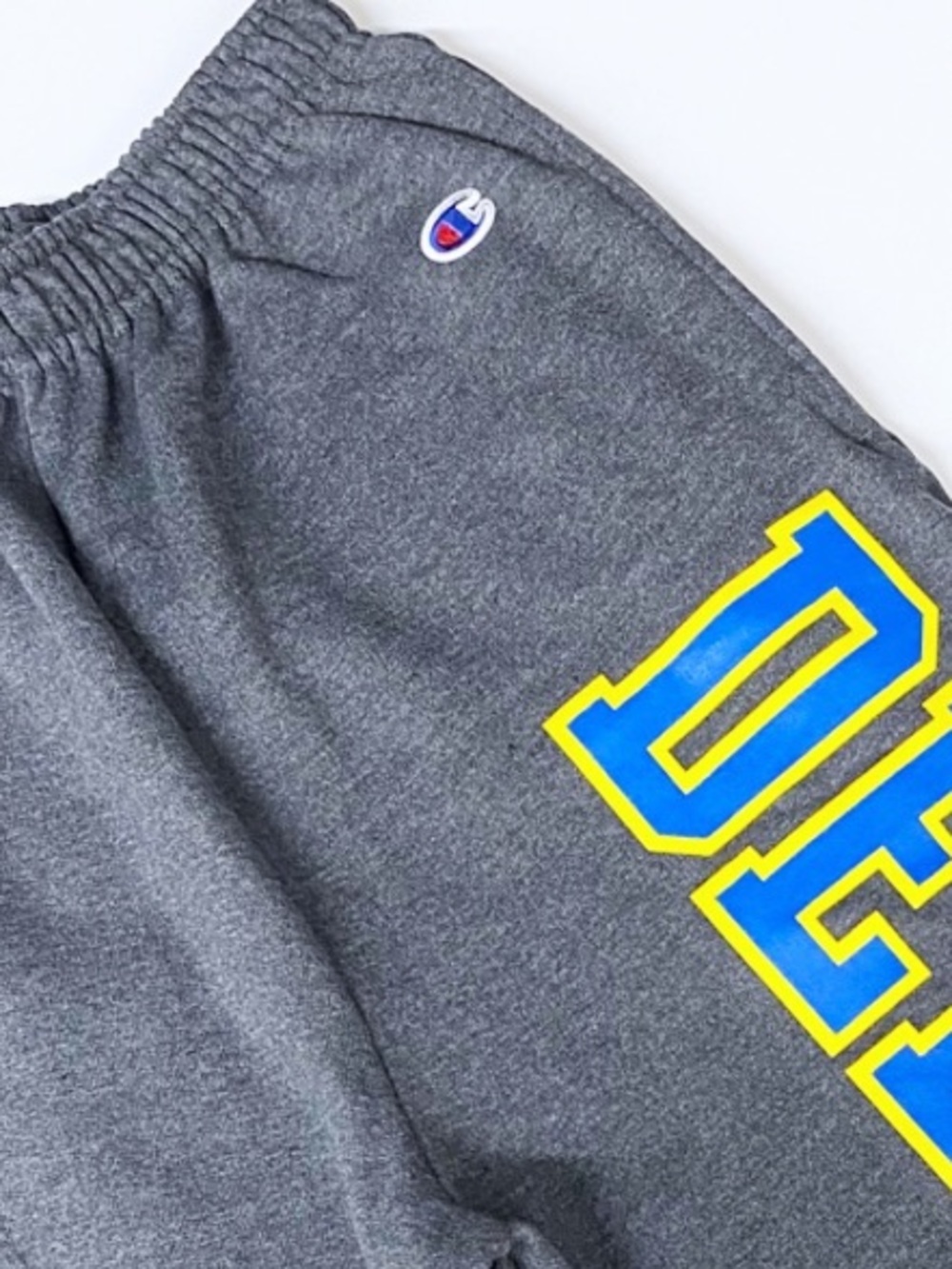 Champion-University of Delaware Sweatpants